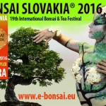bonsai-slovakia-2016-web